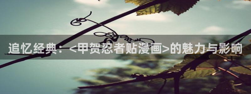 韩漫漫画官网下载：追忆经典：<甲贺忍者贴漫画>的魅力与影响