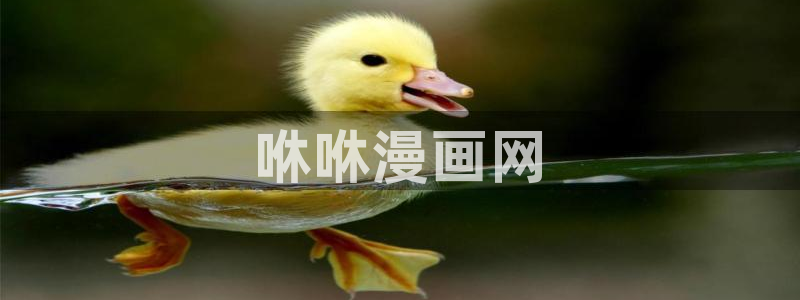韩漫漫画在线观：咻咻漫画网