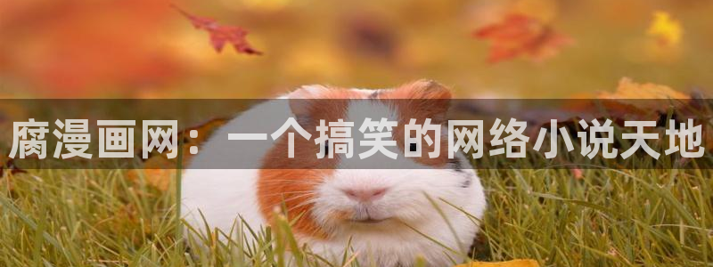 漫画韩漫免费：腐漫画网：一个搞笑的网络小说天地