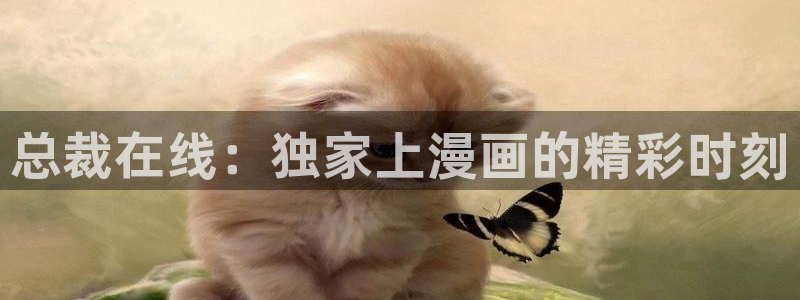 韩漫免费看大全：总裁在线：独家上漫画的精彩时刻