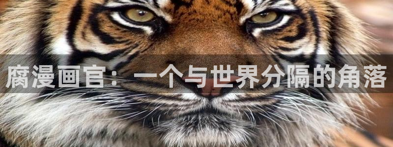 韩漫网址下载：腐漫画官：一个与世界分隔的角落