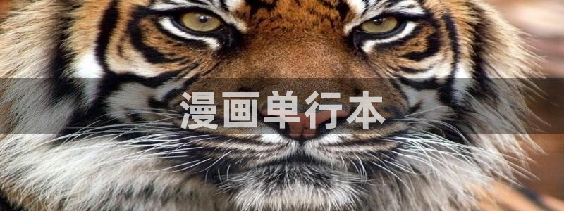 韩漫免费观看在线阅读漫画歪歪：漫画单行本