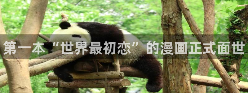 韩漫下拉式免费在线观看：第一本“世界最初恋”的漫画正式面世