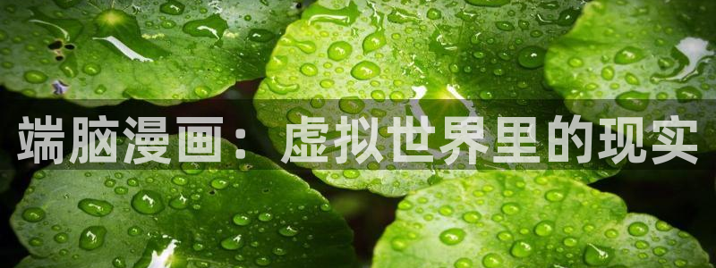 韩漫爱徒免费阅读看漫画下拉：端脑漫画：虚拟世界里的现实