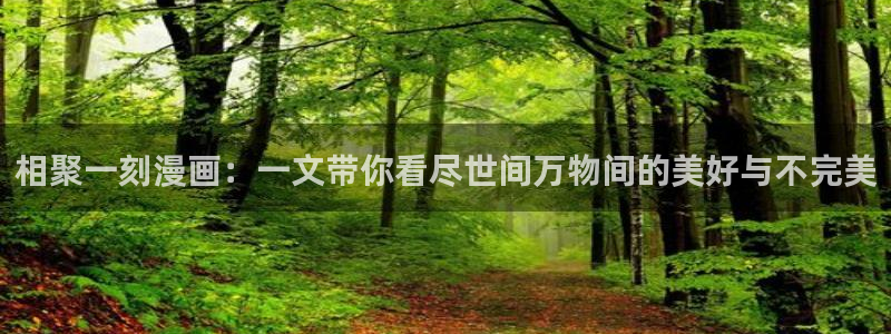 韩漫3d网站：相聚一刻漫画：一文带你看尽世间万物间的美好与不完美
