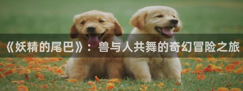 韩漫驿站免费漫画：《妖精的尾巴》：兽与人共舞的奇幻冒险之旅