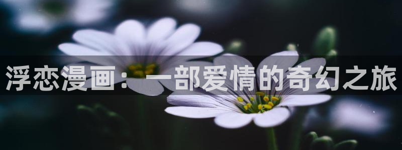 韩漫武侠漫画：浮恋漫画：一部爱情的奇幻之旅