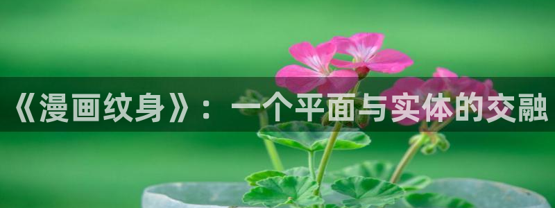 免费观看韩漫：《漫画纹身》：一个平面与实体的交融